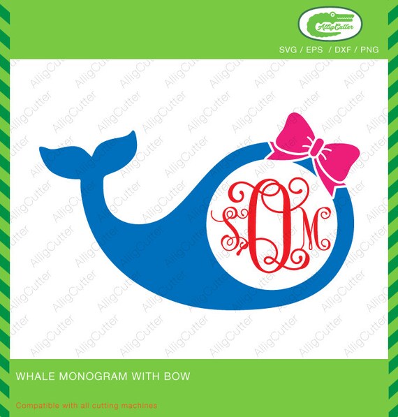 Whale With Bow Monogram Frame SVG DXF PNG eps by Alligcutter