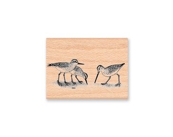 SANDPIPER RUBBER STAMP~Coatal Birds~Coast Shore Snipe~Shore Birds~Ocean Decor~Sea Life~ Mountainside Crafts (36-02)