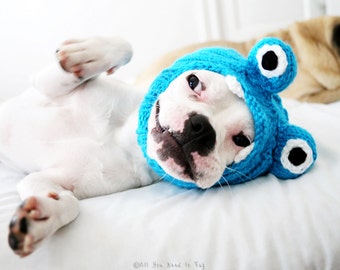 Dog Hat - Little Monster Hat - Pug Hat - Pet Clothing - Dog Clothing