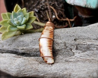 Hawaii Shell Necklace - Seashell Jewelry from Hawaii - Hawaiian Jewelry - Cowrie Shell Jewelry made in Hawaii - Hawaiian Seashell Necklace