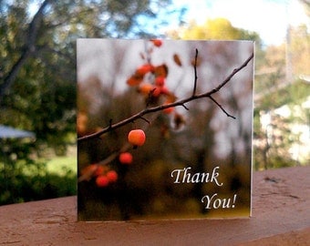 Customer Appreciation Note Card Set, Valentine's Day Mini Thank You Greetings
