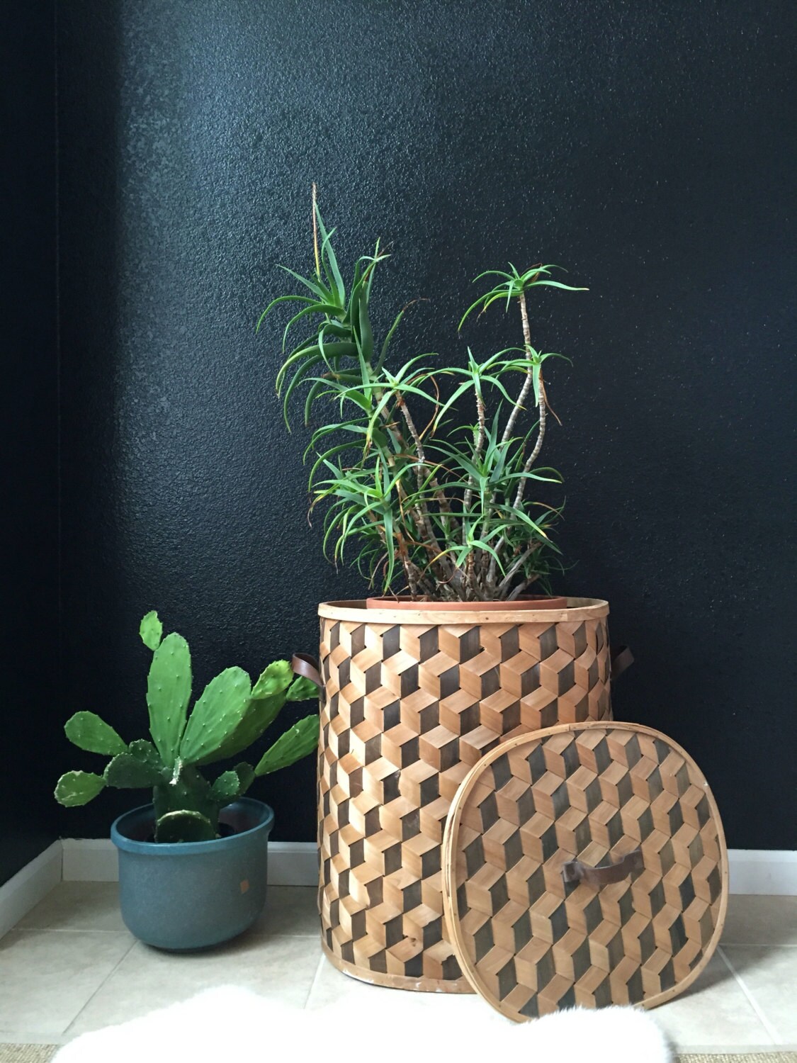 large geometric woven wooden basket / planter