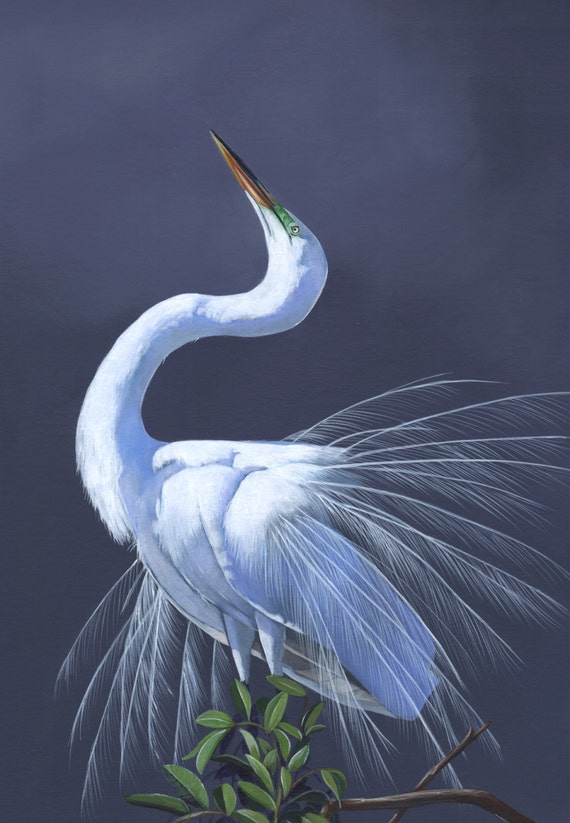 Great Egret print of Acrylic painting GE1715 5 by 7 size