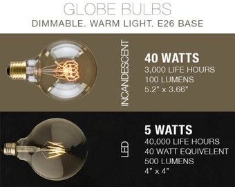 LED & Incandescent Edison Filament Bulbs