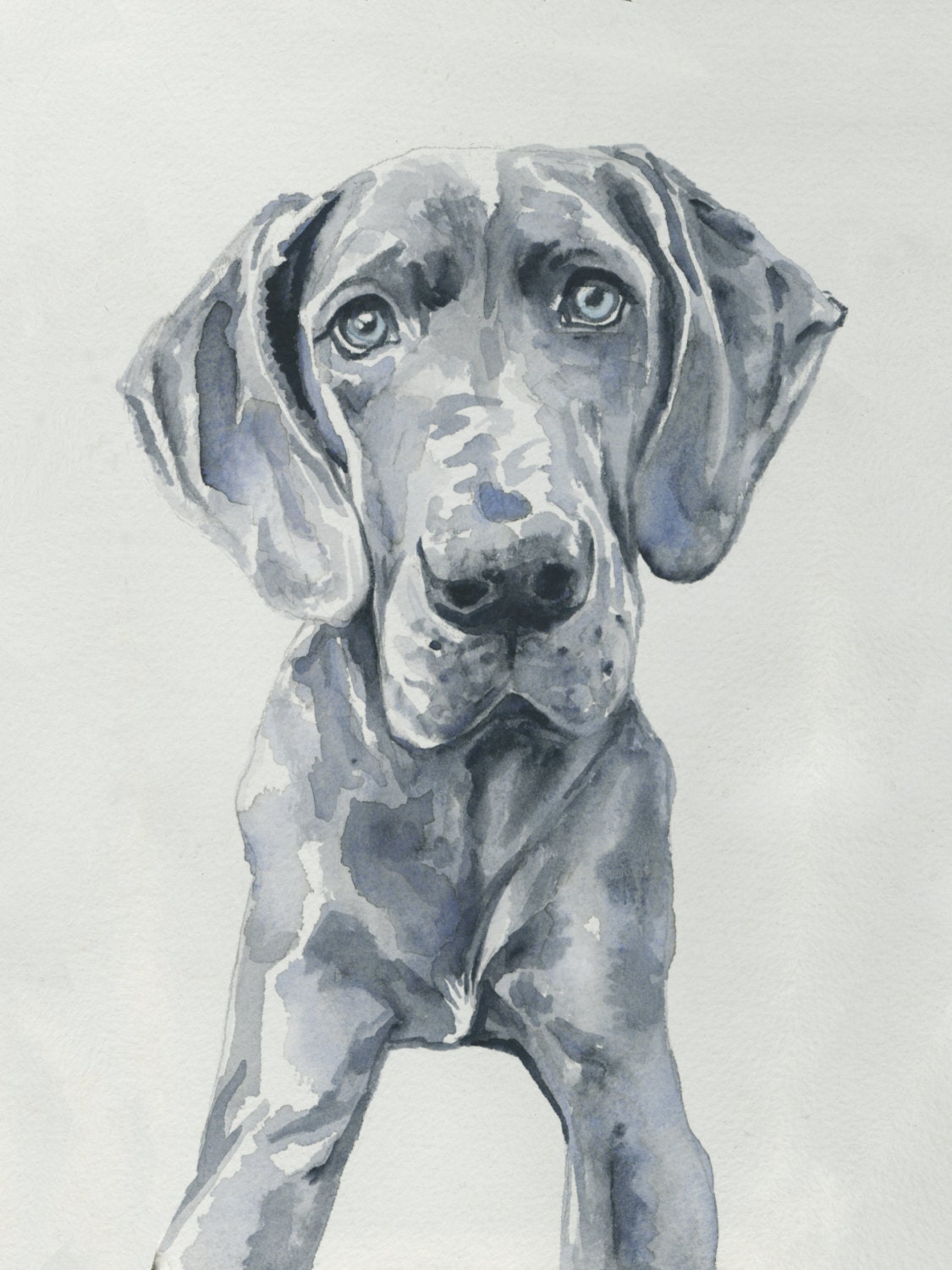 Great Dane Watercolor Print by ColorIsEverything on Etsy