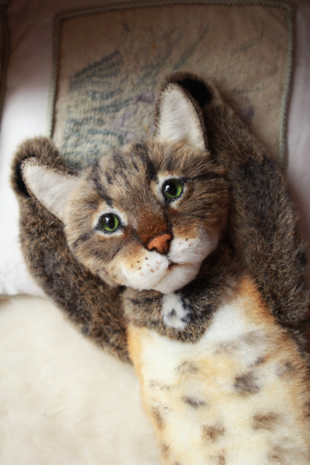 realistic teddy cat lucky