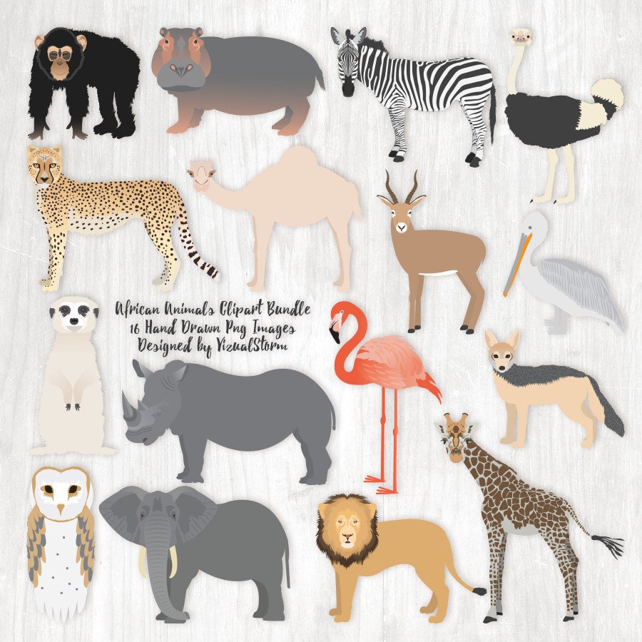 Download African Animal Clipart Bundle Safari Animal Graphics African
