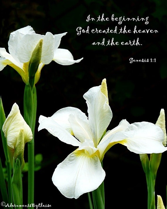 White Iris Faith Religious Decor Bible Verse Christian