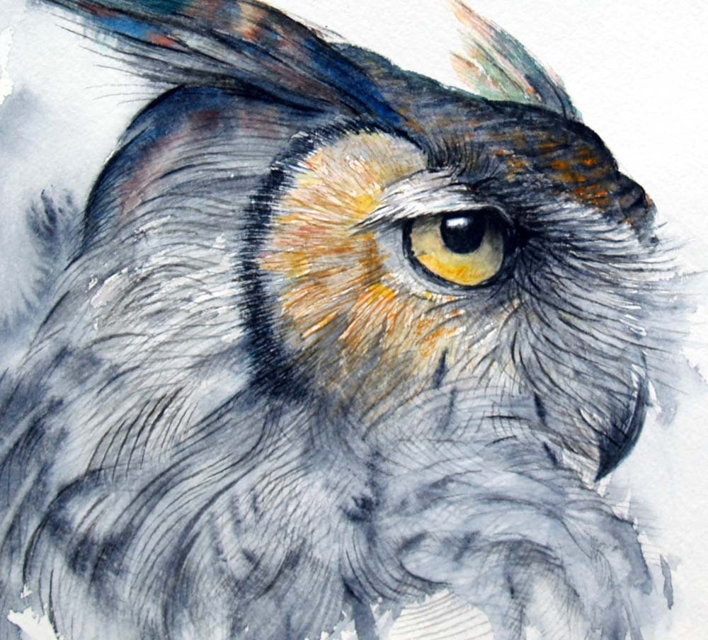 Watercolor Painting Owl Original Bird Art Great Horned Owl