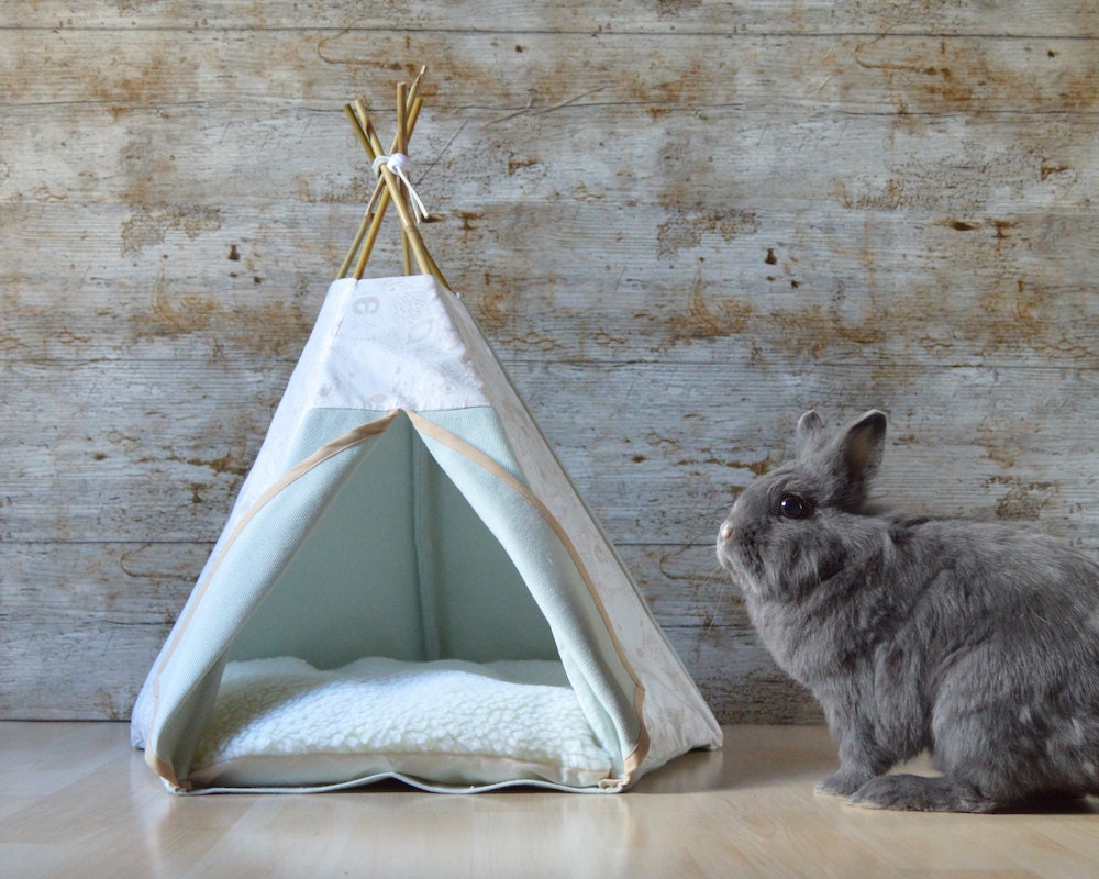 Rabbit teepee Guinea Pig bed Kitten tent with pillow animals