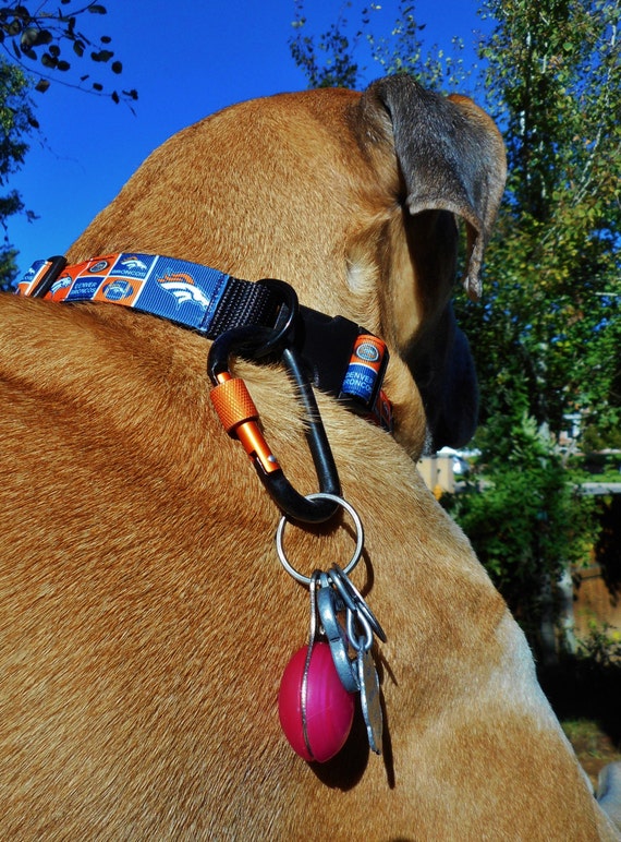 Big dog locking carabiner clip attach ID tags leash by bellaTAZ