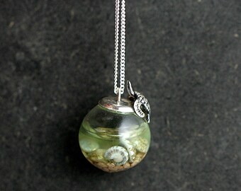 Sterling turtle sea water necklace. Turtle sitting on glass orb filled with sea water, shells and sand. Unique jewelry for her.