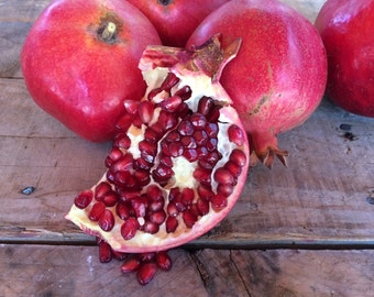 Fresh Certified Organic Large Pomegranates