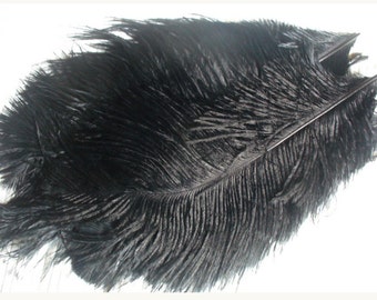 1 feather for various confections * feathers F 116