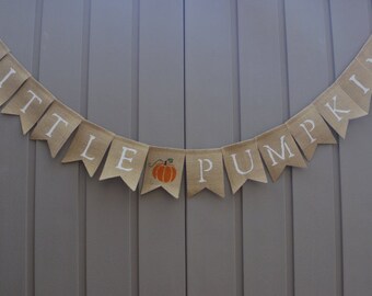 Little Pumpkin Banner, Pumpkin Birthday Banner, Pumpkin Baby Shower Banner, Fall Baby Shower, Fall 1st Birthday, Little Pumpkin Party