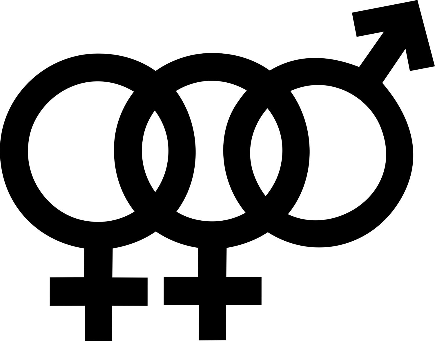 Polyamory/Bi female female male symbol vinyl decal