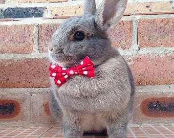Red and white bow tie, pet rabbit bow tie, pet rabbit bows, rabbit accessories, pet rabbit clothing