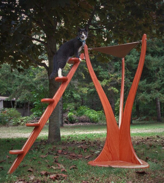 Cat Hammock by Stevebuildscoolstuff on Etsy