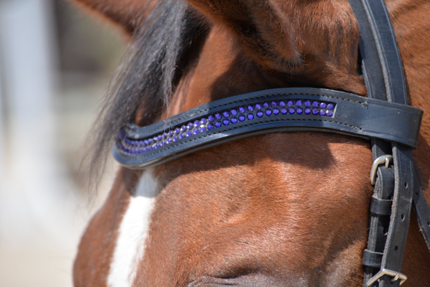 Bling Browband