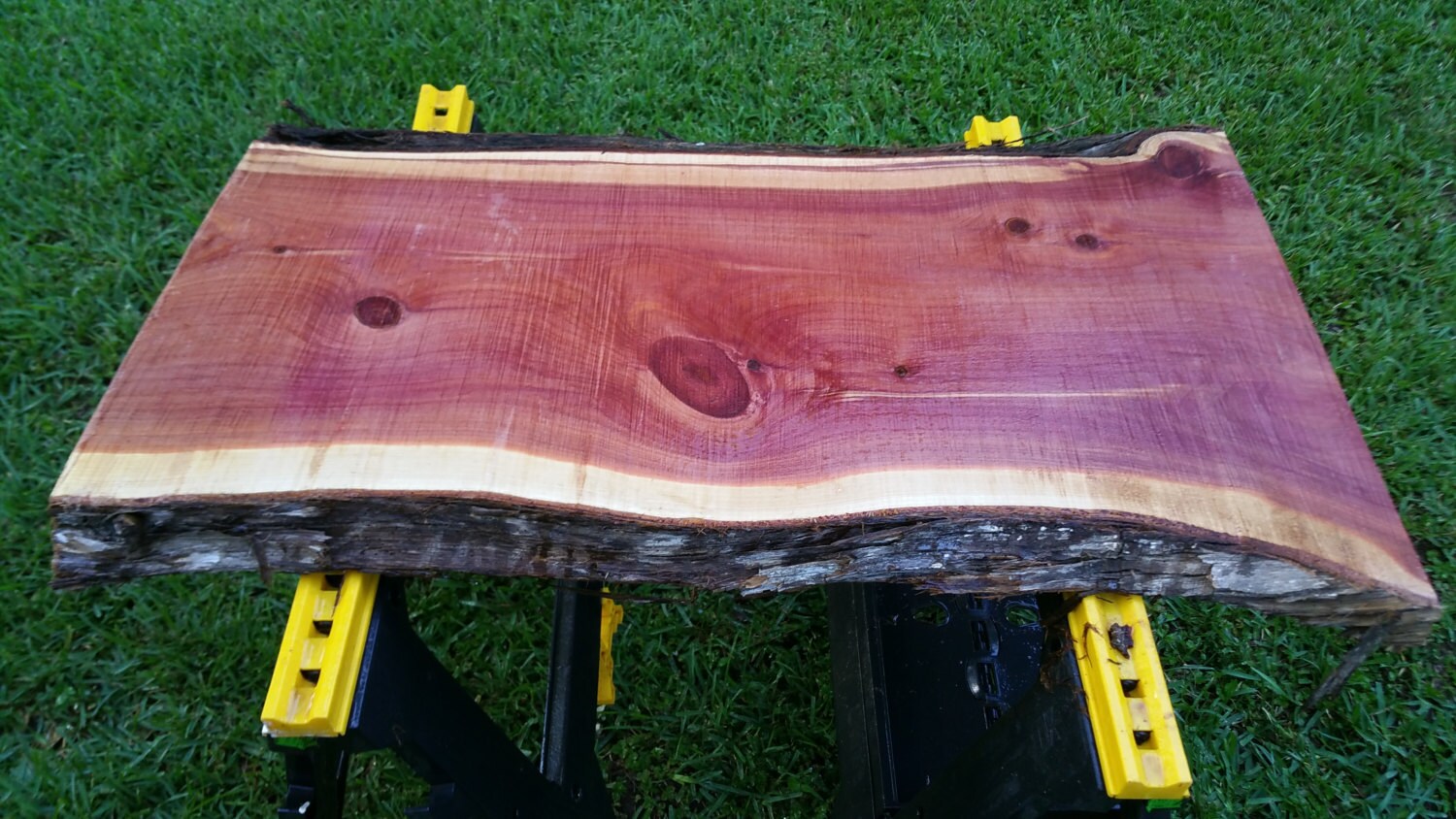 Eastern Red Cedar Live Edge Table/Desk Top Slab by AlstroemeriaWC