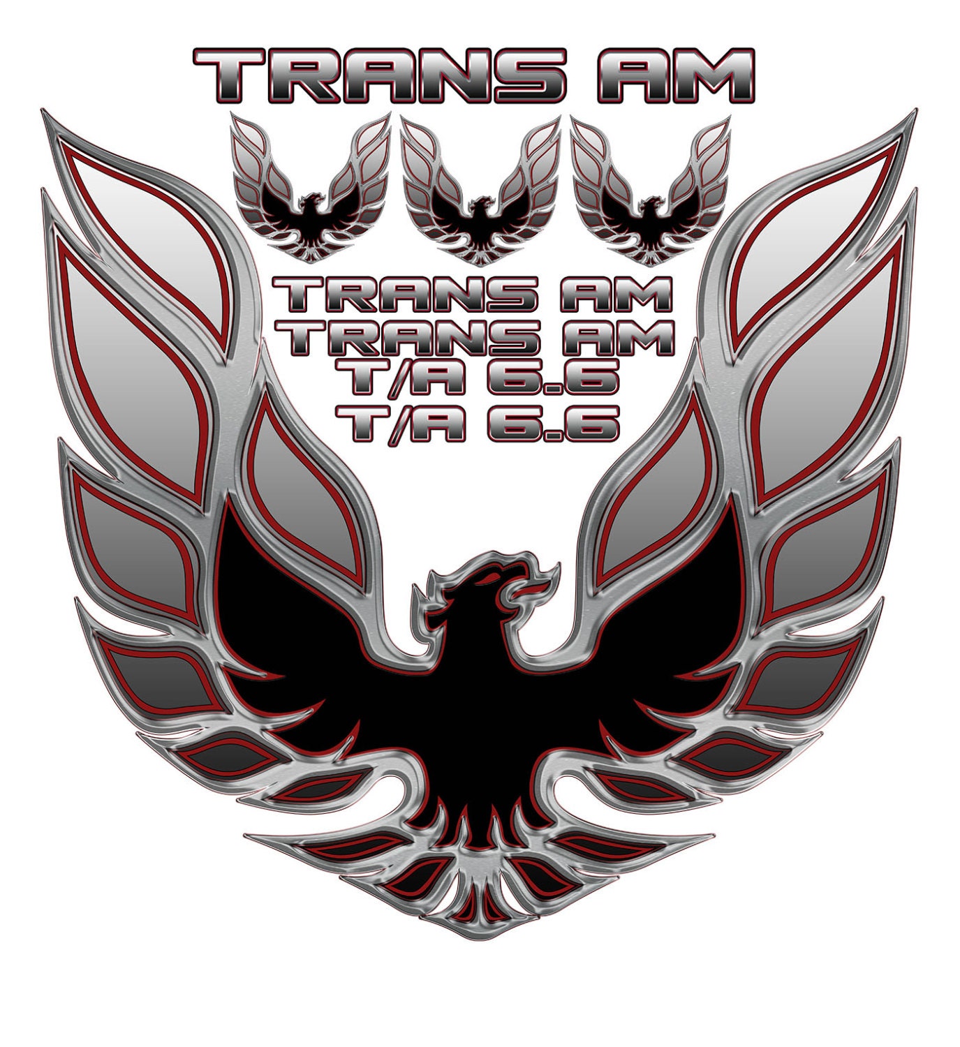 1977 Trans AM Decal