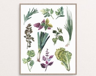 Culinary Herbs Printable Kitchen Art Herbs Collection Herbs