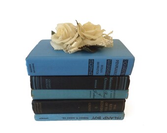 Blue Vintage Books, Blue and Black Home Decor, Baby Blue Wedding Decor, Photography Prop, Instant Library
