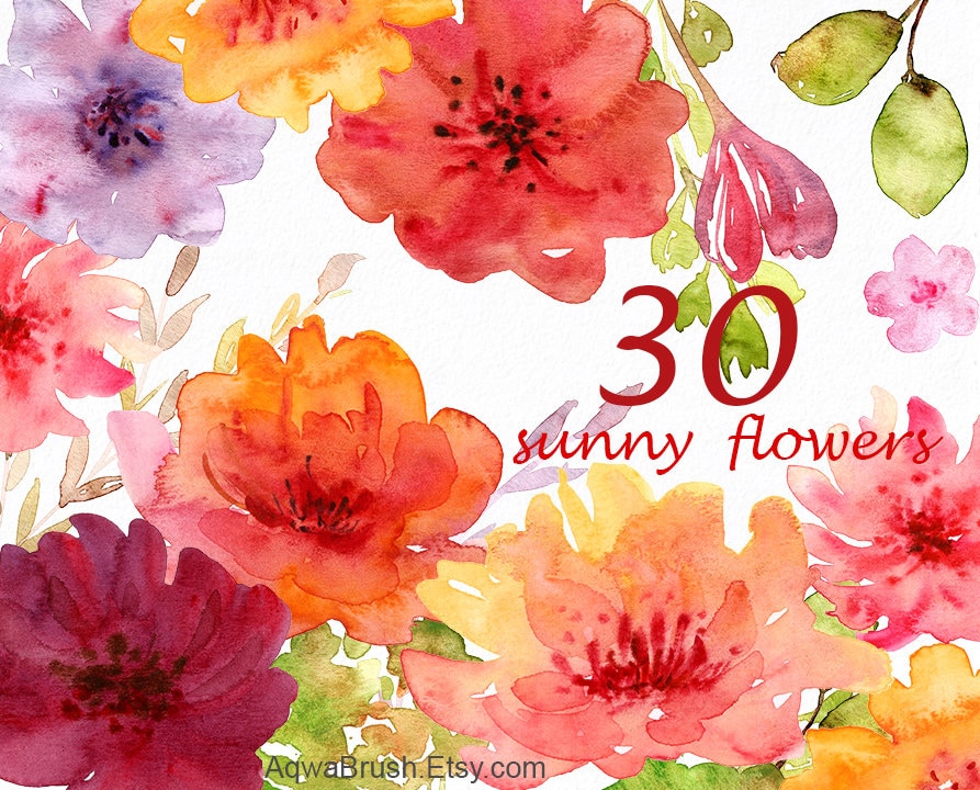 Sunny flowers Watercolor clipart Commercial use floral autumn