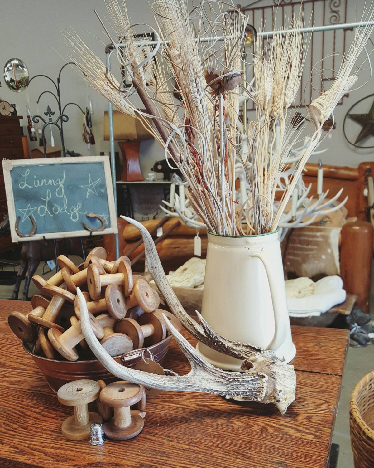 Vintage Deer Antler Wall Hanging Antler Accent by theantiqueavenue