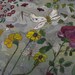 susan a attwell