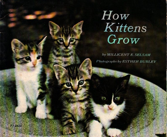 How Kittens Grow Millicent E Selsam Esther Bubley 1973