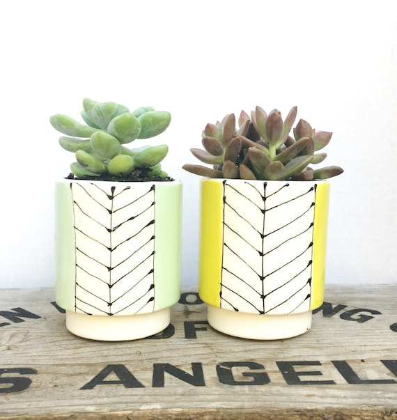 Line Pot Planter with a POP of Color by LunaReece on Etsy