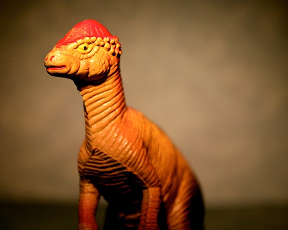 pachycephalosaurus head