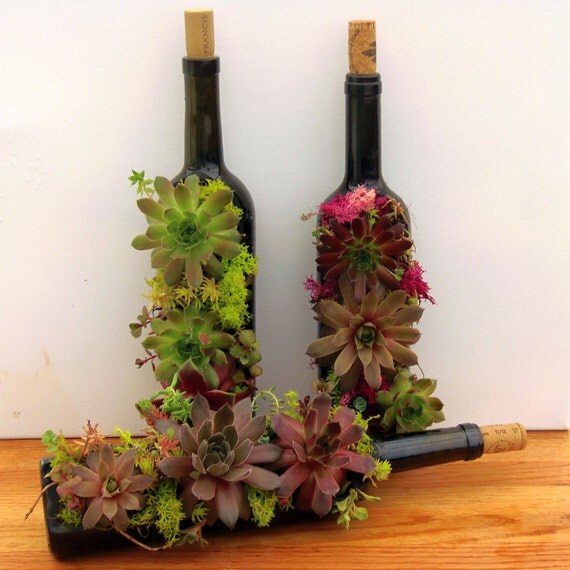Succulent Wine Bottle Planter by OohWeeHandmade on Etsy