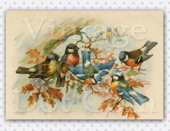 Vintage Clip Art Fall Autumn Harvest Blue Birds and Fall