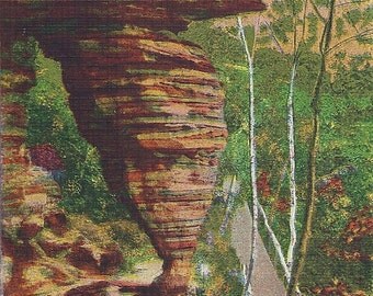 Vintage 1930's Wisconsin Dells Postcard Hornet's Nest