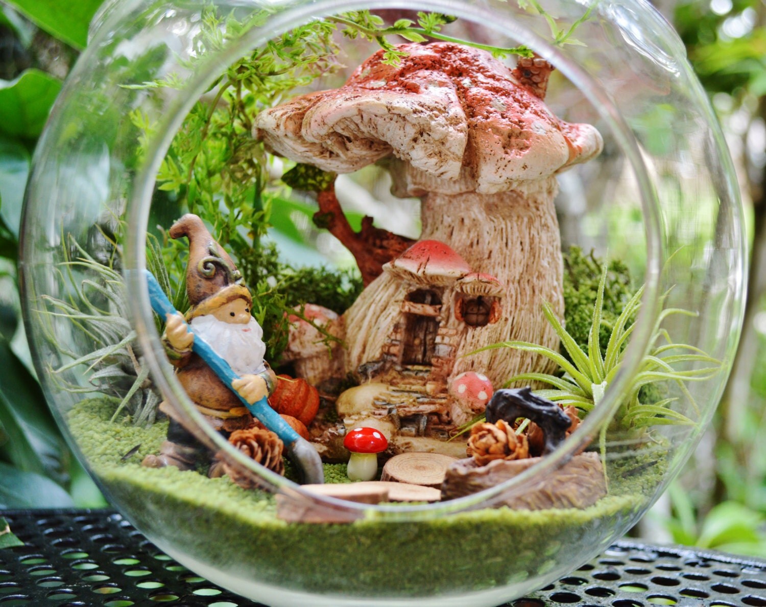 terrarium gnomes