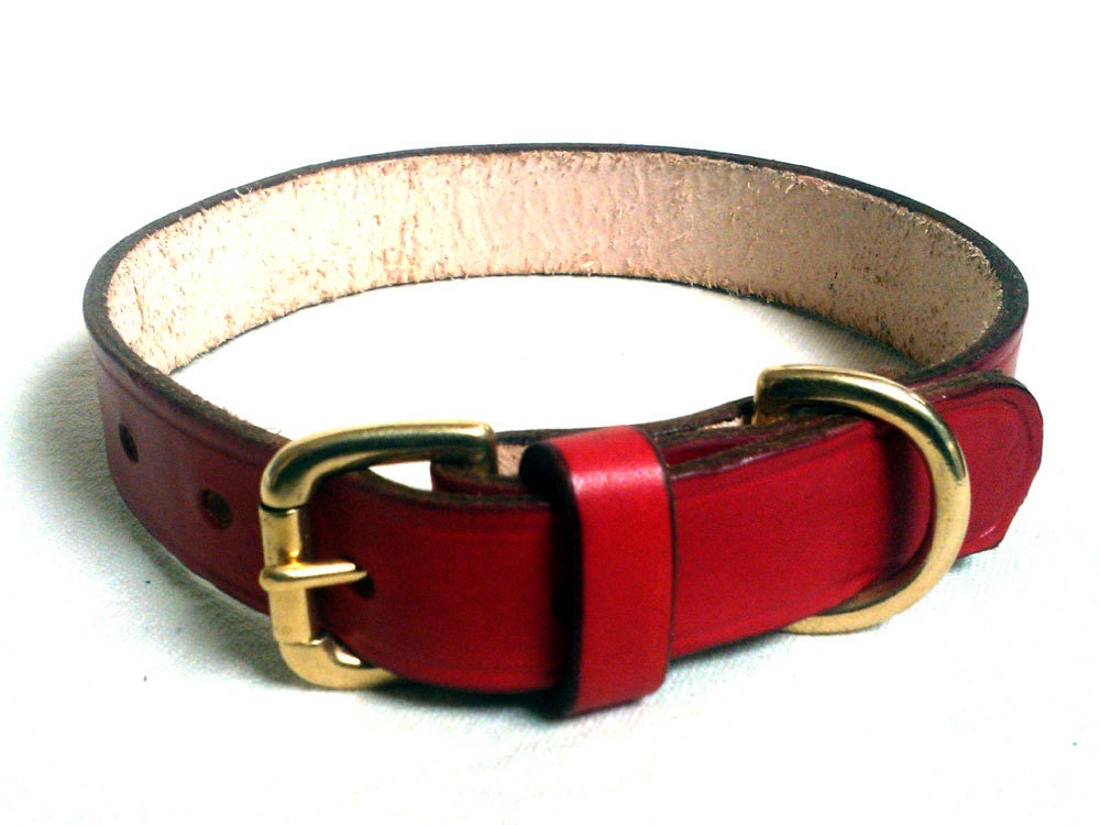 Leather dog collar with brass buckle and D ring by LakesideLeather