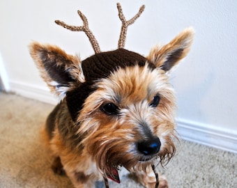 Reindeer Costume for Dogs - Hand Knit Dog Hat - Custom Sizing