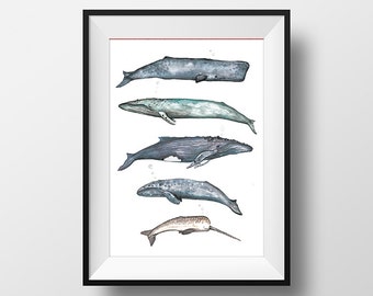 Whale wall art | Etsy