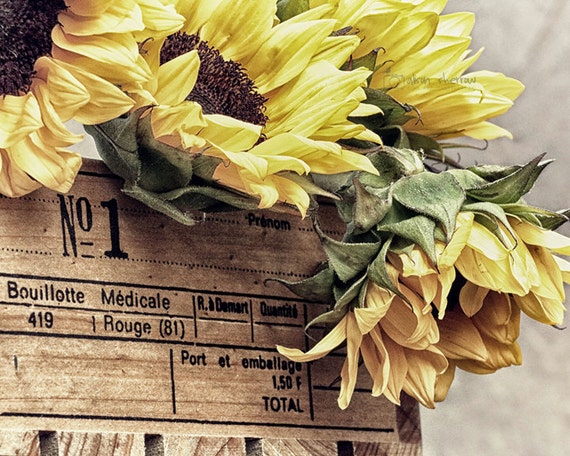 Sunflower Wall Art Rustic Farmhouse Decor Nature by AgedPage