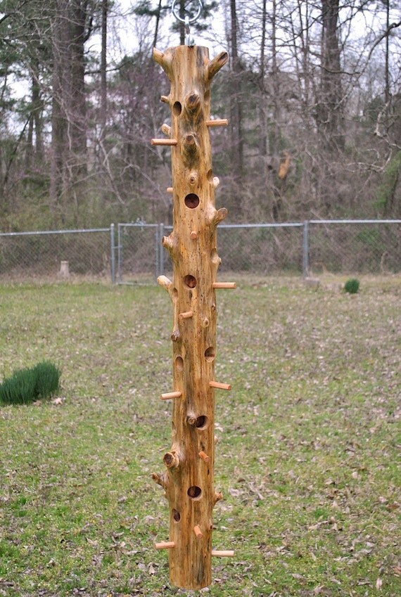 suet cedar log bird feeder suet cedar log bird feeder