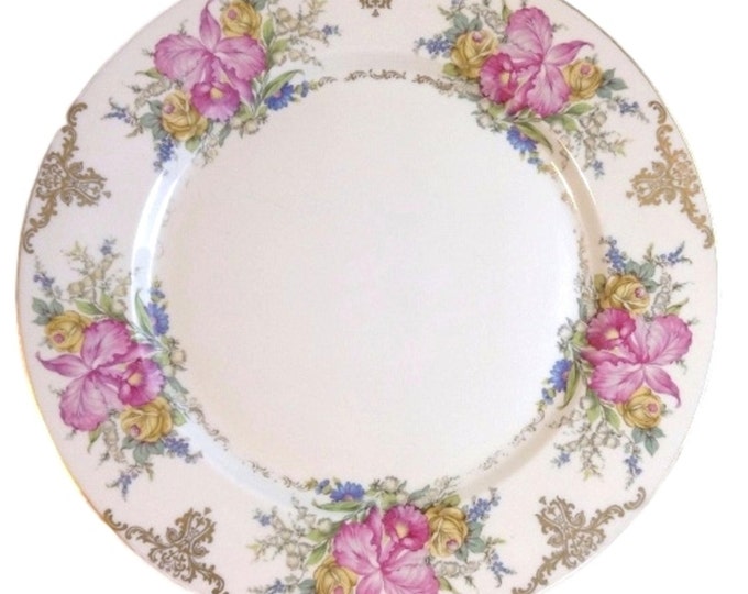 Vintage Rosenthal China Dinner Plate With Orchids, Selb-Germany US Zone, Circa 1908-1953, Winifred 10 Inch Plate with Orchids and Scrolls