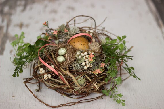 sale item bird nest honeysuckle bird nest real sale item bird nest honeysuckle bird nest real