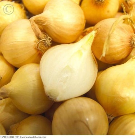 Multiplier onions recipes for salmon Multiplier onions recipes for salmon