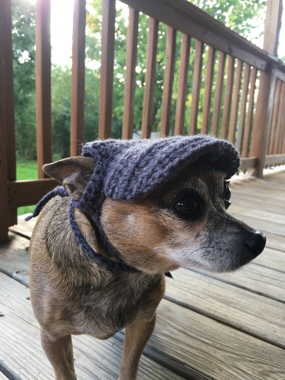 Dog Hat Crochet Pattern for small dogs