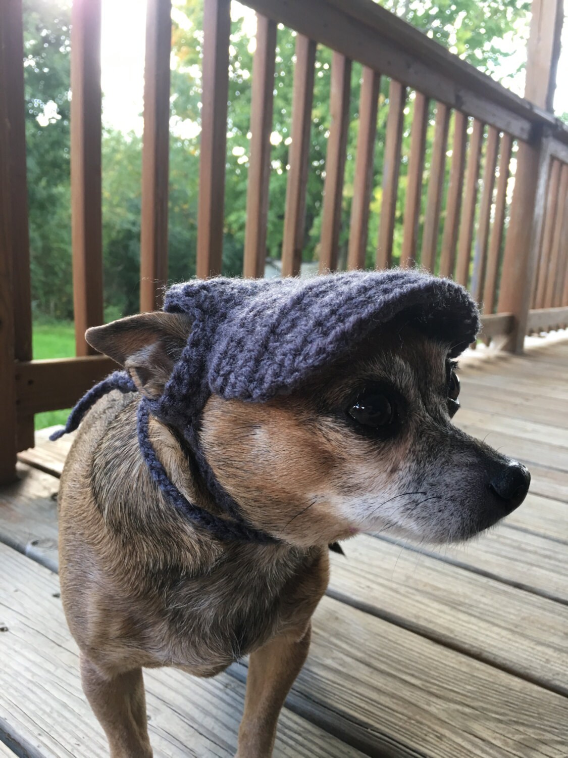 Dog Hat Crochet Pattern for small dogs