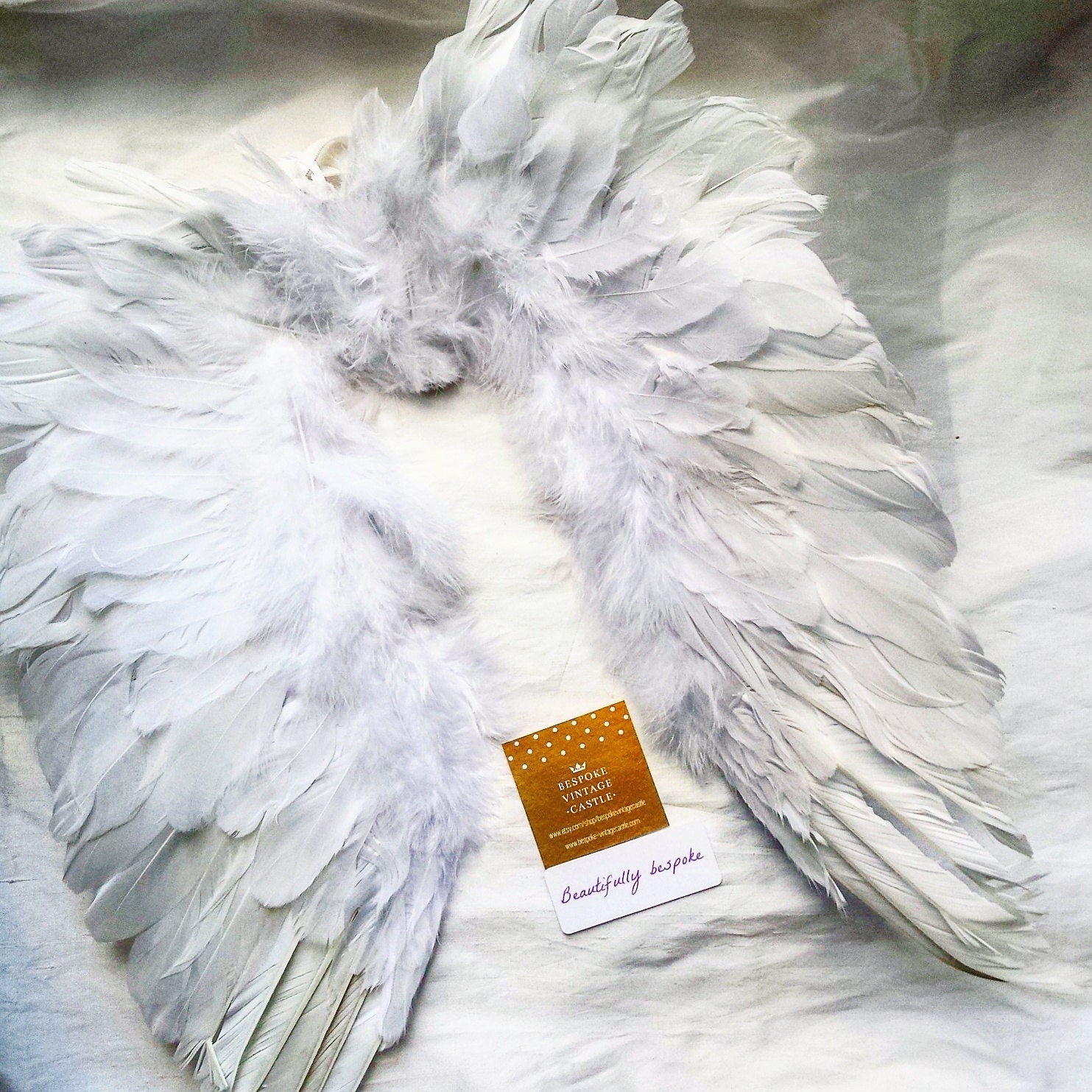 Feather angel wings feathered wingsbirthdaybird wings