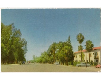 Mexicali Baja California Mexico vintage postcard | Avenida Reforma | Mexican beach decor | 1950s retro travel souvenir, vacation scrapbook