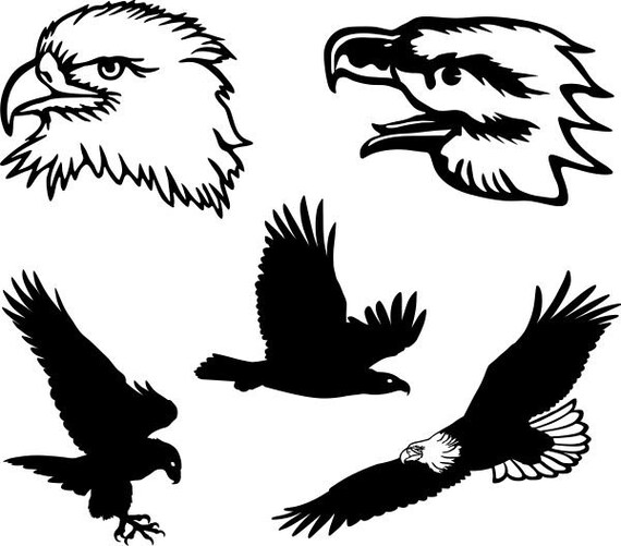 Eagle Clipart Silhouettes eps dxf pdf png svg Files Plasma